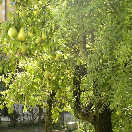 Beautiful Venice B&B 梅斯特雷 外观 照片